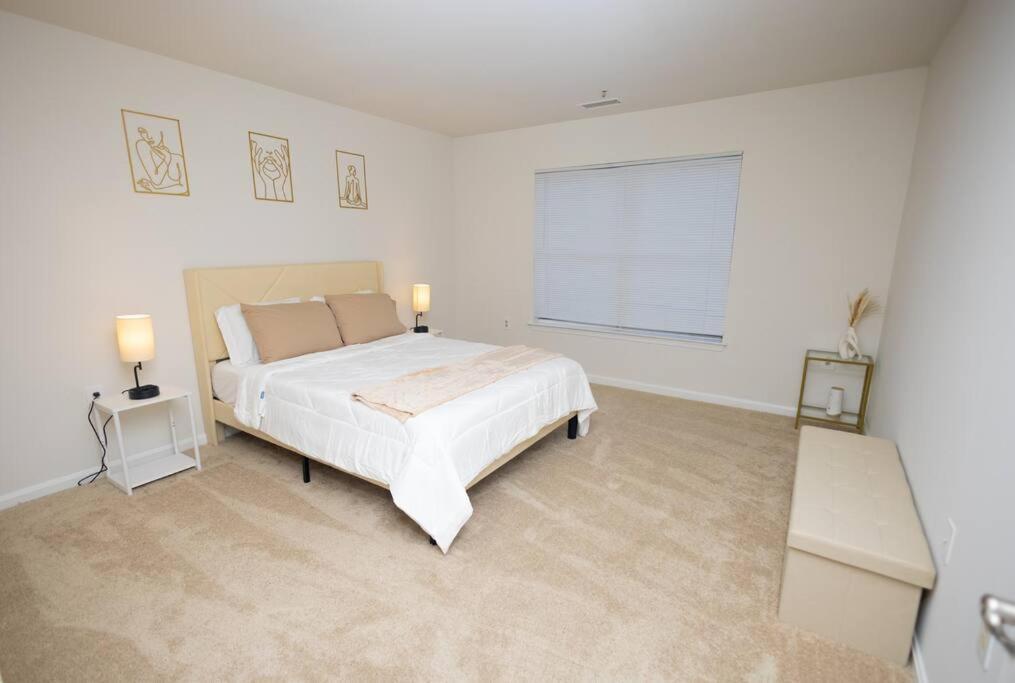 Perfect Stay! 1 Bedroom Mins To Dc Arlington Exteriör bild