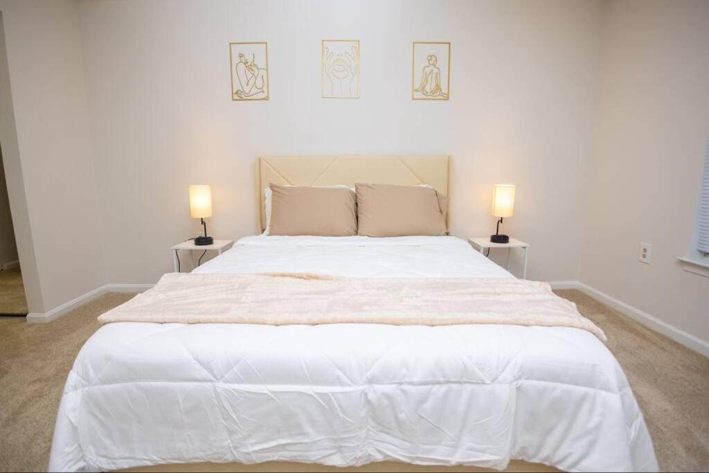 Perfect Stay! 1 Bedroom Mins To Dc Arlington Exteriör bild